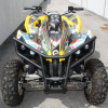 Bumper Xrw Br1 Renegade 500 / 800