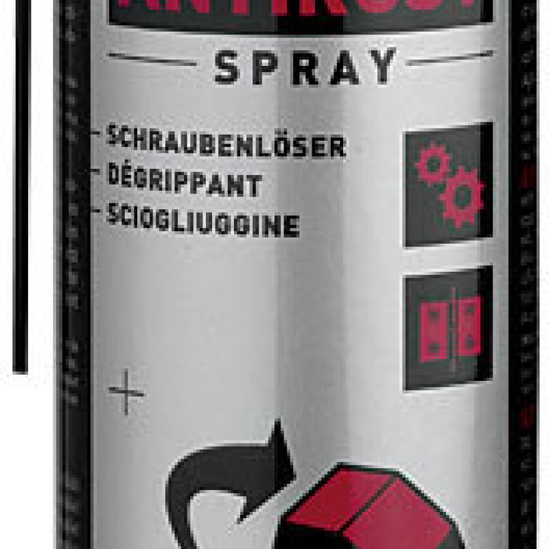 Spray Motorex Anti Rust